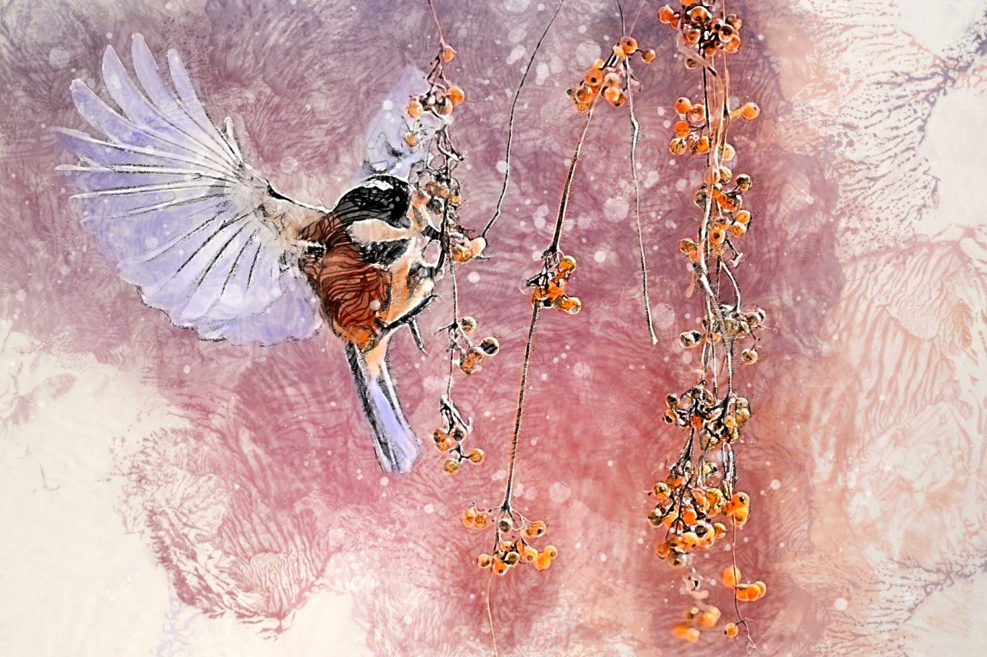 bird-skitso